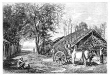Tenasserim, Myanmar, 1895