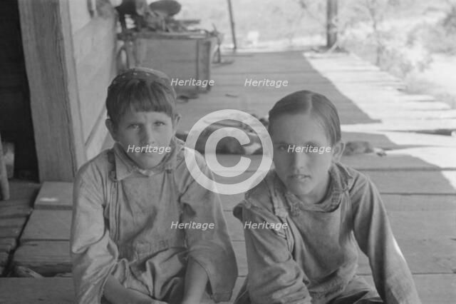 Tengle boys, Hale County, Alabama, 1936. Creator: Walker Evans.