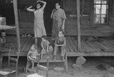 Tengle children, Hale County, Alabama, 1936. Creator: Walker Evans