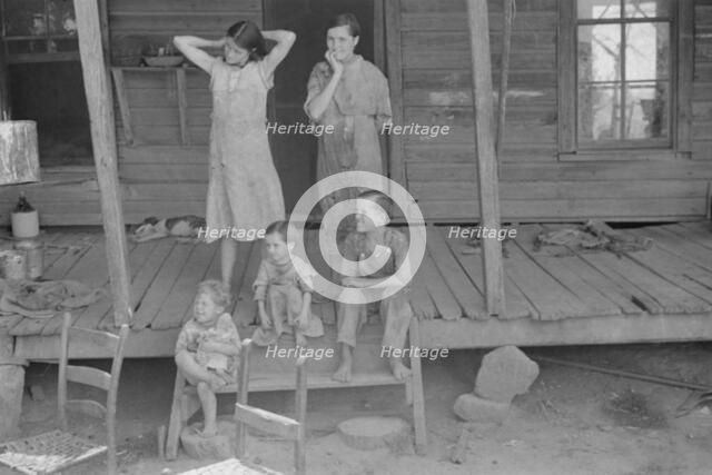 Tengle children, Hale County, Alabama, 1936. Creator: Walker Evans.