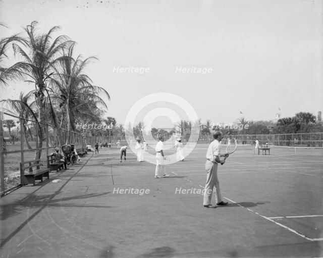 Tennis courts, Palm Beach, Fla., between 1900 and 1906. Creator: Unknown.