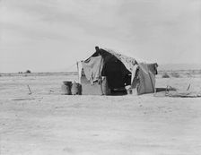 Tent housing a family, Imperial County, California, 1937. Creator: Dorothea Lange