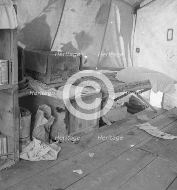 Tent interior in a pea pickers' camp, Santa Clara County, California, 1939. Creator: Dorothea Lange.