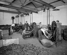 Teofani Cigarette Factory, Brixton, London, 1916. Artist: Bedford Lemere and Company