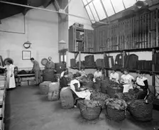 Teofani Cigarette Factory, Brixton, London, 1916. Artist: Bedford Lemere and Company