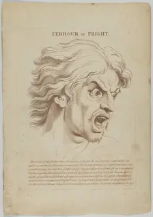 Terror or Fright (from Heads Representing the Various Passions of the Soul; as they are E..., 1765. Creator: Anon