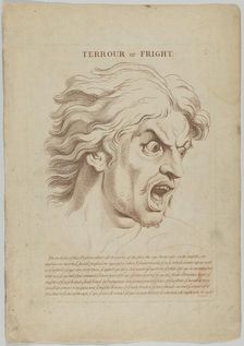 Terror or Fright (from Heads Representing the Various Passions of the Soul; as they are E..., 1765. Creator: Anon