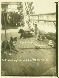 Terra Nova, Antartic Expedition, c1913. Creator: Unknown