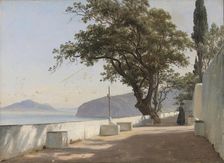 Terrace with Oak, Sorrento, 1834. Creator: Thomas Fearnley