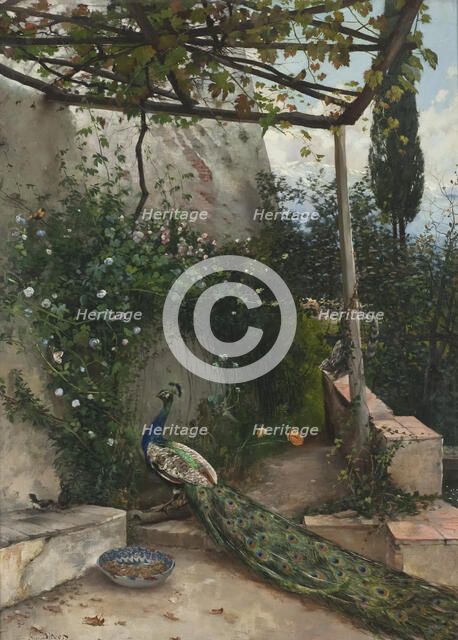 Terrace with Peacock, the Alhambra, 1884. Creator: Hugo Birger.