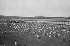 Terreiro para seccar o Cafe (Coffee Drying and Packaging), 1895. Artist: Axel Frick