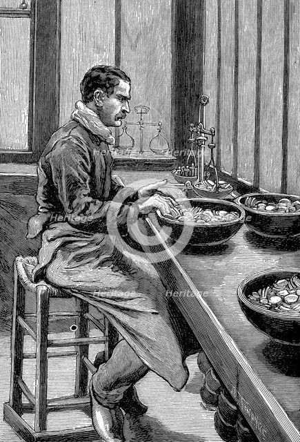 Testing the weight of gold pieces, Paris mint, 1892. Creator: Unknown.