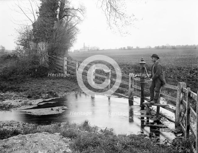 Thames Head, Coates, Gloucestershire, 1890. Artist: Henry Taunt