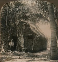 Thatched Cottage in Cocoanut Grove, Florida, U.S.A. c1900