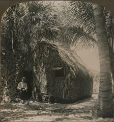 Thatched Cottage in Cocoanut Grove, Florida, U.S.A. c1900