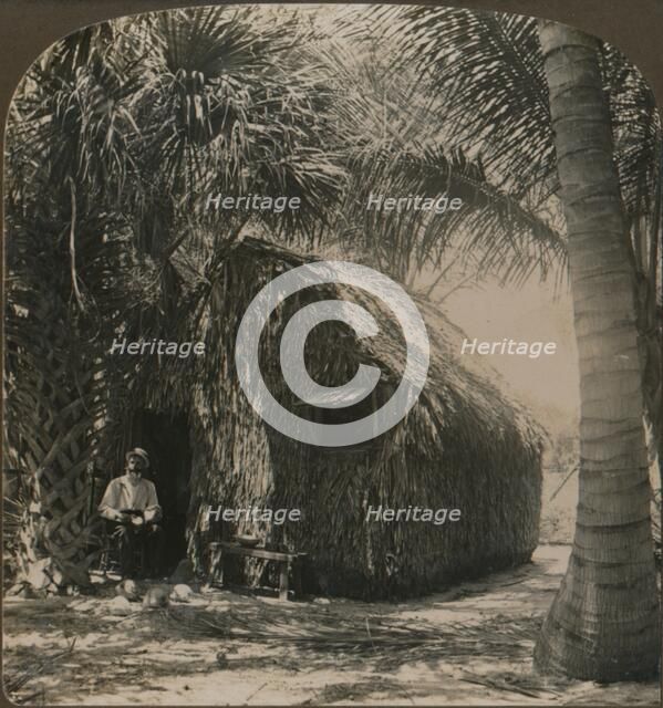 'Thatched Cottage in Cocoanut Grove, Florida, U.S.A.', c1900. Artist: Unknown.