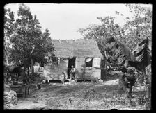 Thatched building and banana plant, possibly Nassau, Bahamas, between 1900 and 1915. Creator: Unknown