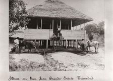 Thatched house on stilts, San Leon Grande Estate, Trinidad, 1897