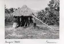 Thatched sugar mill, Grenada, 1897