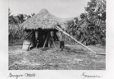 Thatched sugar mill, Grenada, 1897