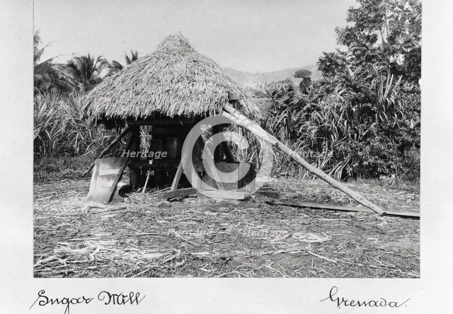 Thatched sugar mill, Grenada, 1897. Artist: Unknown