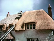 Thatching at Little Waddon, Dorset, c1955-1970. Creator: Arthur Charles Kirby Ware