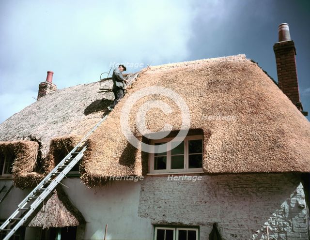 Thatching at Little Waddon, Dorset, c1955-1970. Creator: Arthur Charles Kirby Ware.