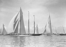 The 19-metres class Octavia Norada Corona & Mariquita racing at Cowes, 1911. Creator: Kirk & Sons of Cowes