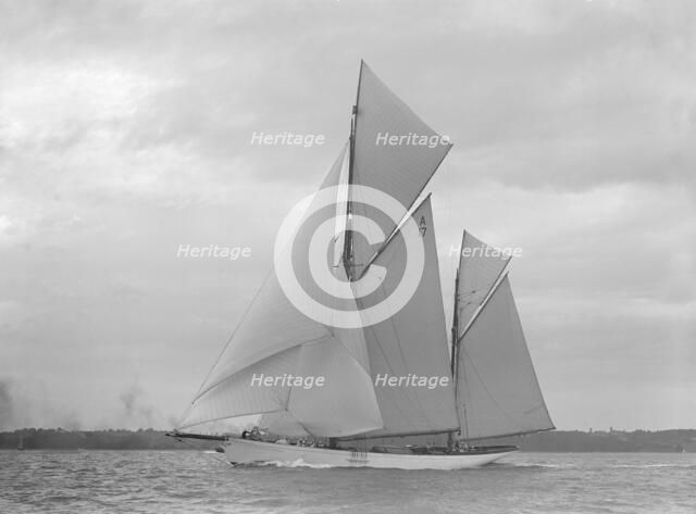 The 118 foot racing yacht 'Cariad', 1911. Creator: Kirk & Sons of Cowes.