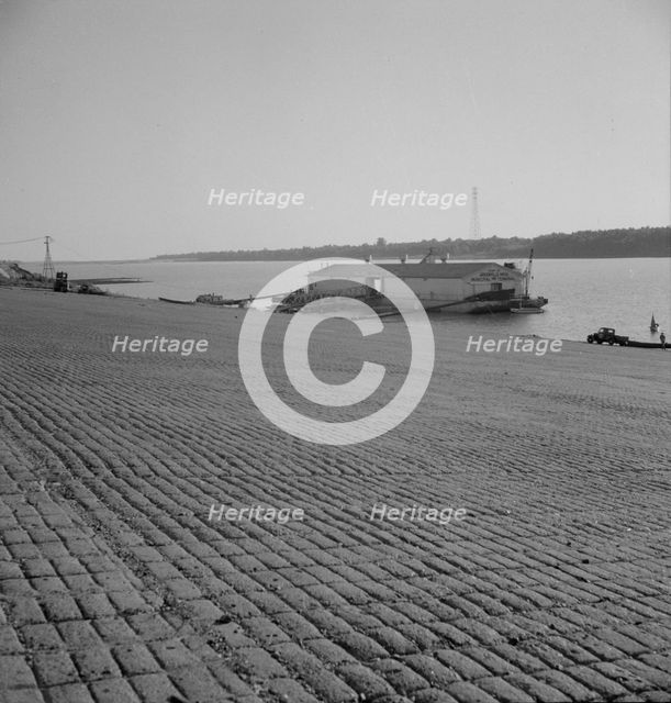 The municipal levee at Greenville, Mississippi, 1937. Creator: Dorothea Lange.