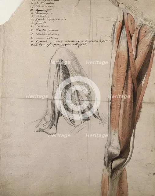 The muscles and tendons of the leg: two figures, including a black chalk sketch of a leg..., 1815. Creator: Charles Landseer.