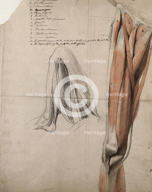 The muscles and tendons of the leg: two figures, including a black chalk sketch of a leg..., 1815. Creator: Charles Landseer.