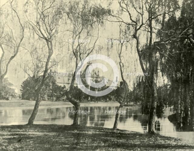 'The Museum. Melbourne University', 1901. Creator: Unknown.