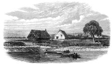 The murder of a missionary by the Maoris in New Zealand: scene of the murder of Rev. Volkner, 1865. Creator: Unknown