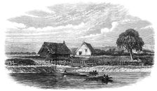 The murder of a missionary by the Maoris in New Zealand: scene of the murder of Rev. Volkner, 1865. Creator: Unknown