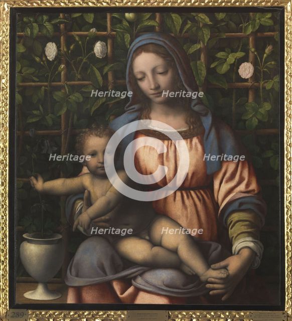 The Madonna of the Rose Garden (Madonna del Roseto).