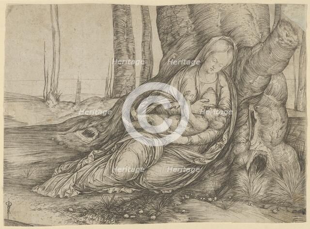 The Madonna nursing the Christ Child at the foot of a tree, ca. 1501-3. Creator: Jacopo de' Barbari.