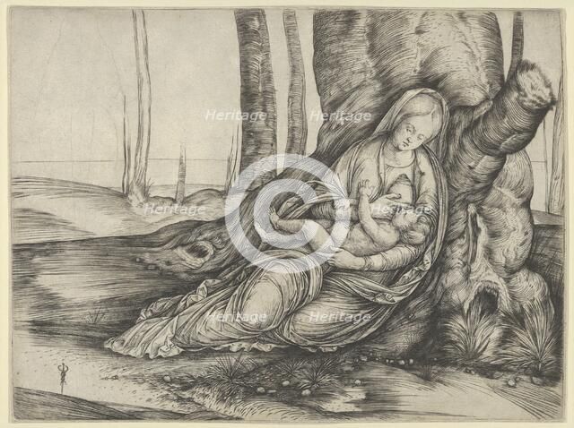 The Madonna nursing the Christ Child at the foot of a tree, ca. 1502-3. Creator: Jacopo de' Barbari.