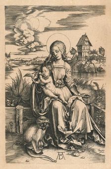 The Madonna with the Monkey c1498, (1906). Artist: Albrecht Durer