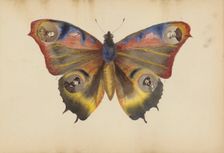 The Madame B Album, 1870s. Creator: Marie Blanche Hennelle Fournier