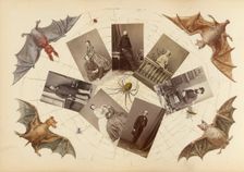 The Madame B Album, 1870s. Creator: Marie Blanche Hennelle Fournier