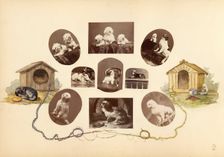 The Madame B Album, 1870s. Creator: Marie Blanche Hennelle Fournier