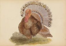 The Madame B Album, 1870s. Creator: Marie Blanche Hennelle Fournier