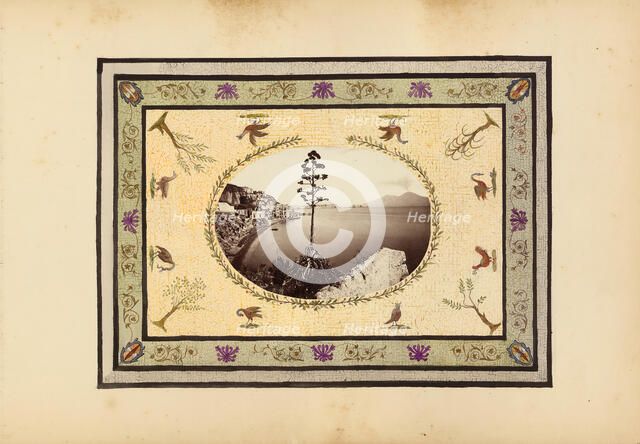 The Madame B Album, 1870s. Creator: Marie Blanche Hennelle Fournier.