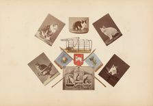 The Madame B Album, 1870s. Creator: Marie Blanche Hennelle Fournier