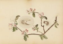 The Madame B Album, 1870s. Creator: Marie Blanche Hennelle Fournier