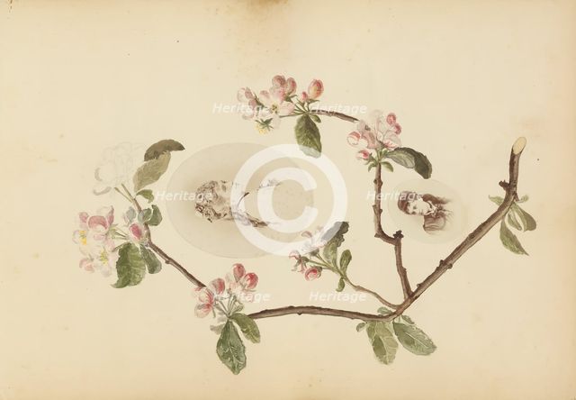 The Madame B Album, 1870s. Creator: Marie Blanche Hennelle Fournier.