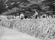 The making of khaki - Wool blending 1915