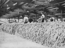 The making of khaki - Wool blending 1915