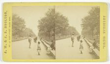 The Mall, 1873/81. Creator: J.W. & J.S. Moulton